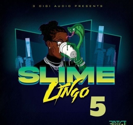 Innovative Samples Slime Lingo 5 WAV